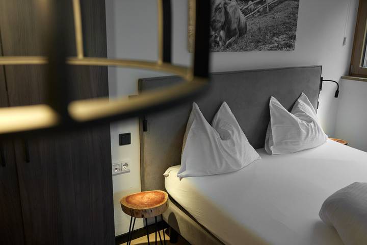 Studio für 2 Personen, mit Balkon, mit Haustier in Vorarlberg - 4