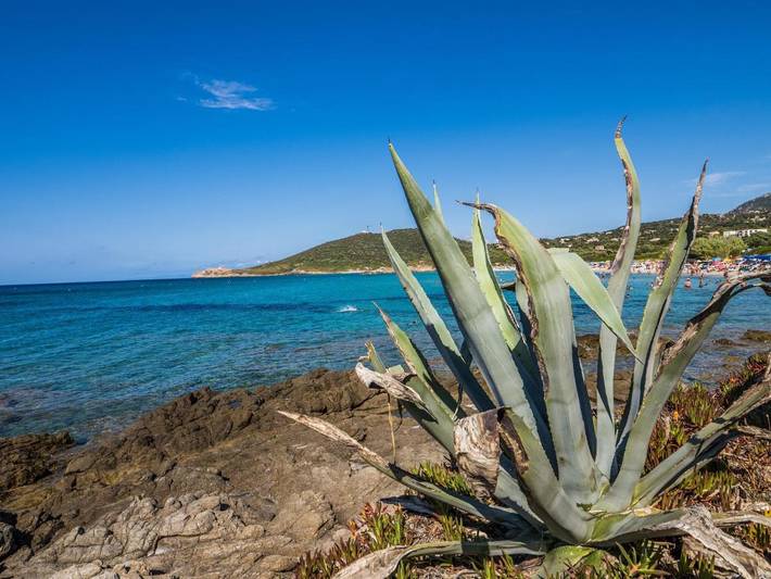 Location de vacances pour 2 personnes, avec piscine ainsi que vue et jardin à Aregno - 4