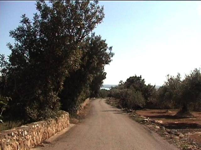 Casa rural para 8 personas, con piscina y jardín en La Ampolla - 4