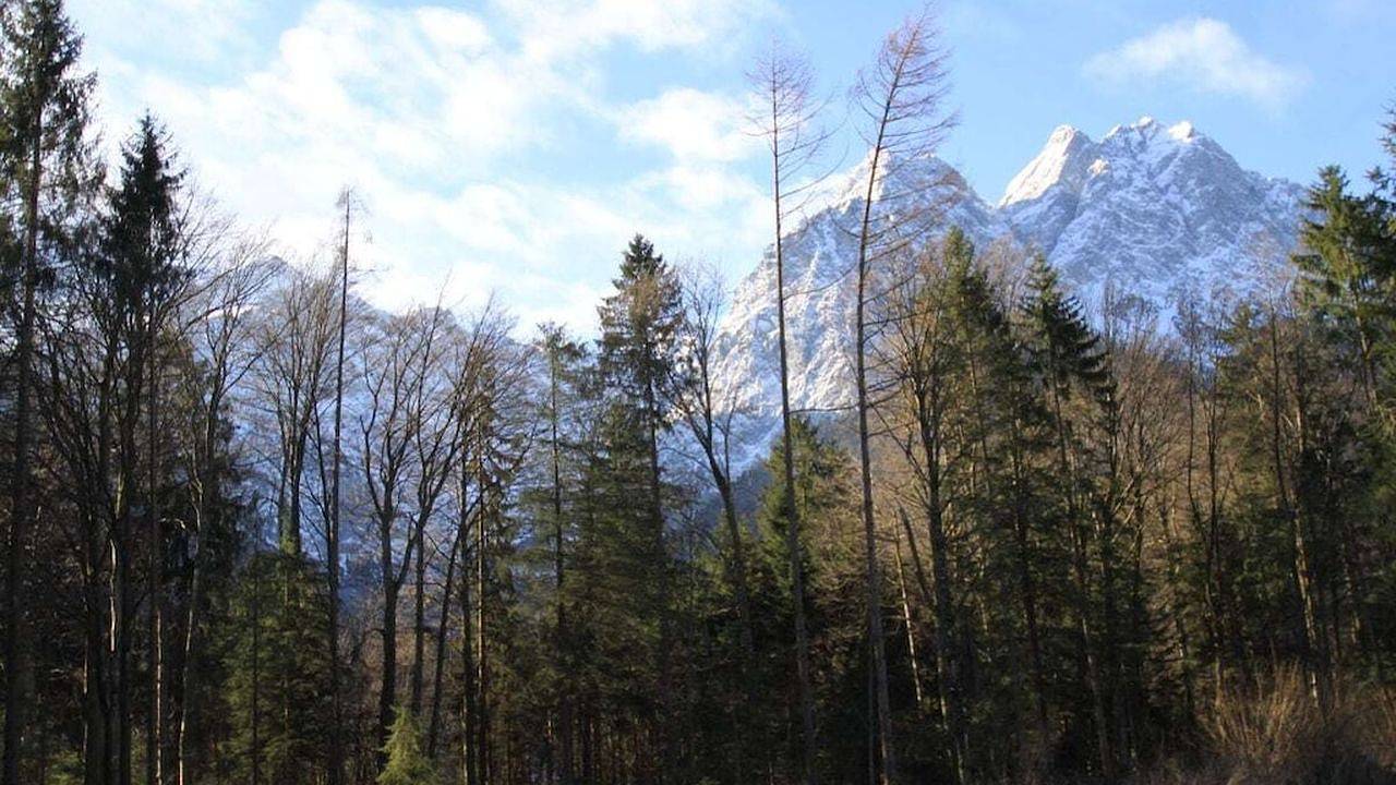 Ferienhaus für 4 Personen (63 m²) in Grainau in Grainau, Eibsee