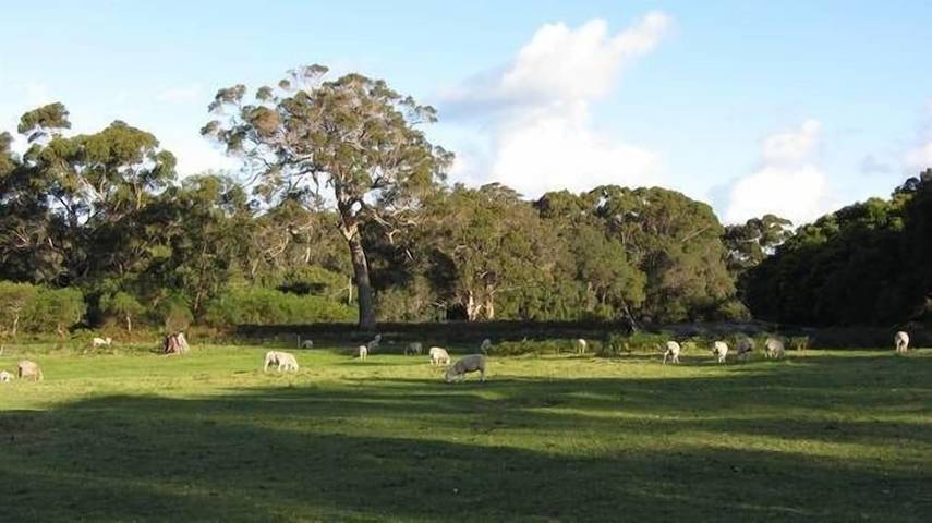 Cottage for 6 people in Western Australia