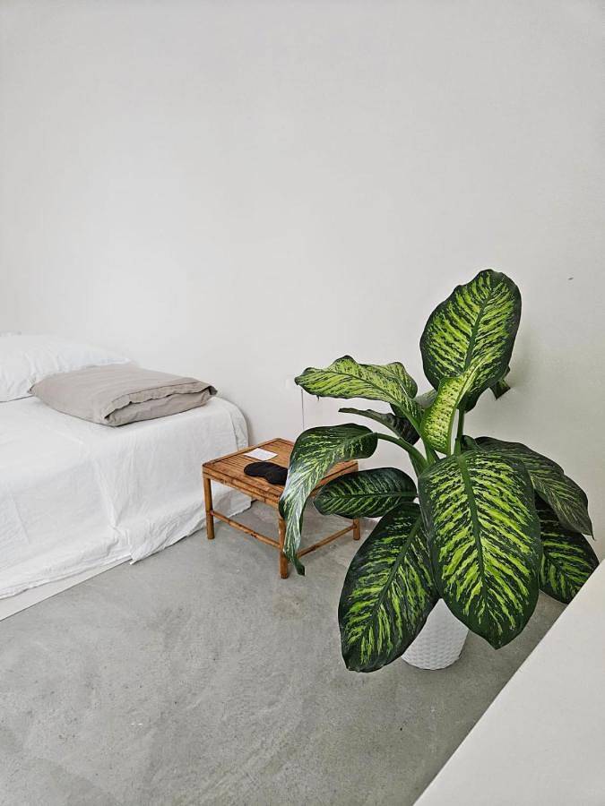 Gîte pour 4 personnes, avec terrasse à Ugento - 3