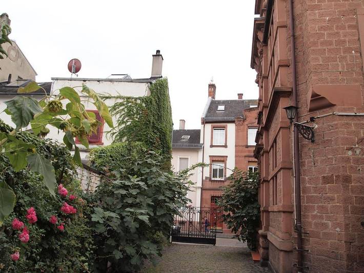 Hütte für 4 Personen, kinderfreundlich im Pfälzer Wald - 4