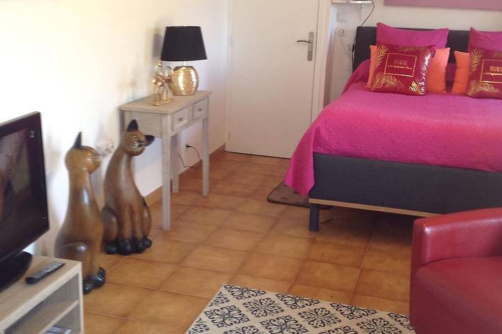 Gîte pour 3 personnes, avec jardin et terrasse, animaux acceptés à Eccica-Suarella - 3