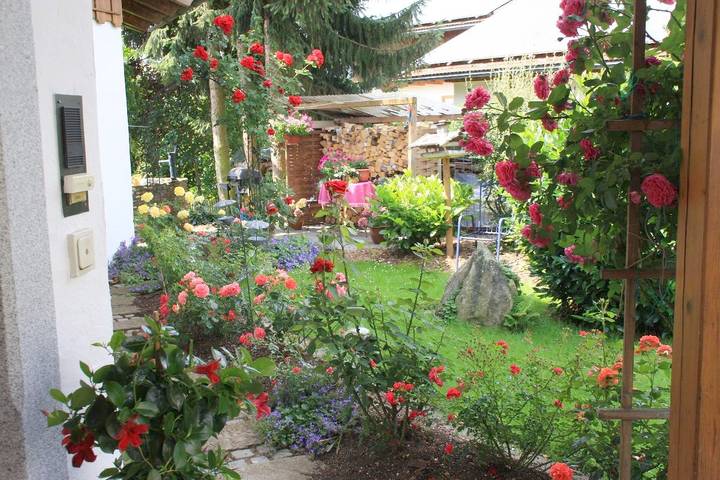Ferienhaus für 3 Personen, mit Garten in Regen (Ostbayern) - 4