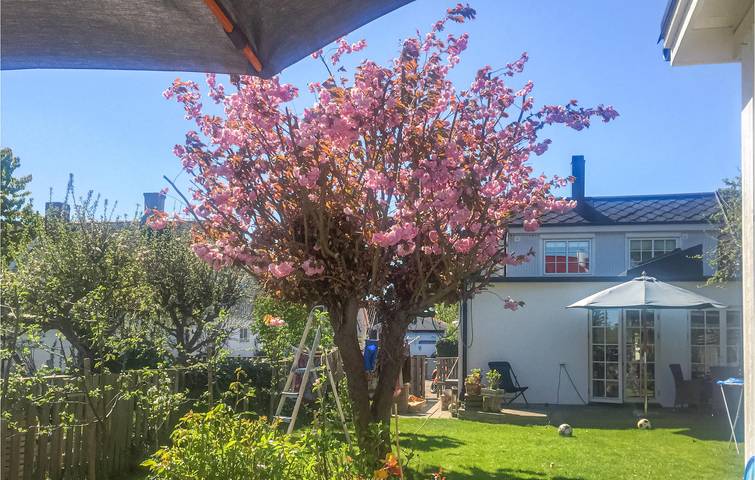Ferienhaus für 8 Personen, mit Terrasse und Garten in Malmö - 3