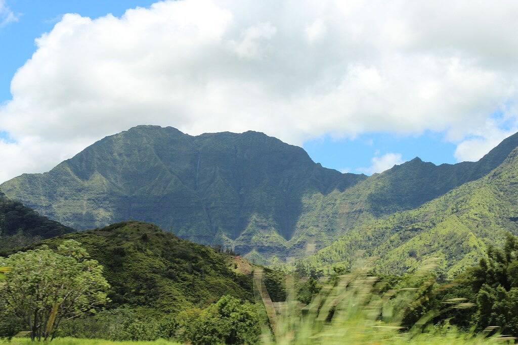 Ganze Wohnung, Kiahuna Plantage Ocean View-nur renoviert, Erdgeschoss, nur wenige Schritte vom Strand entfernt! in Poipu, Koloa