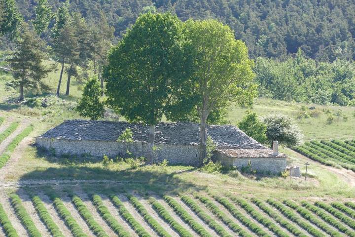 Chambre d’hôte pour 2 personnes, avec terrasse et vue dans les Alpes-de-Haute-Provence - 2
