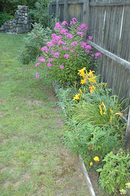 ★ Go-Cottage | 2 Bett | Wifi | Hof | Zu Fuß in die Stadt ★ in Lake Placid, Adirondack Mountains