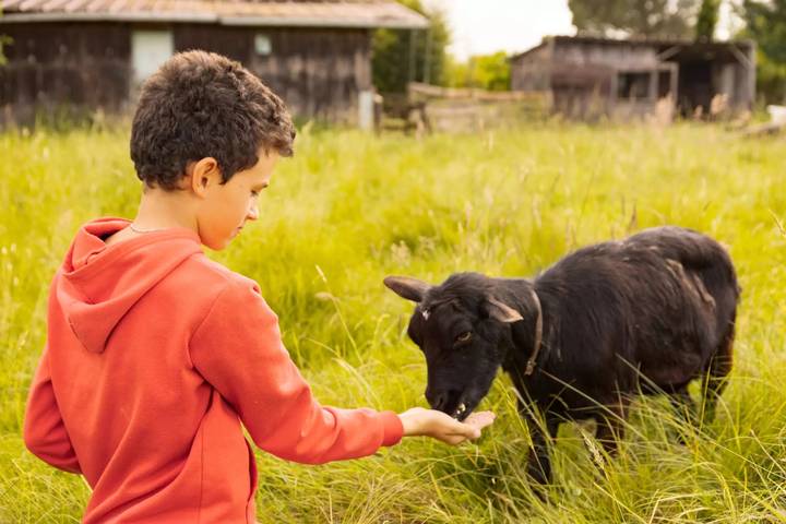 Camping pour 8 personnes, avec jardin et piscine, animaux acceptés dans Haute-Garonne - 4