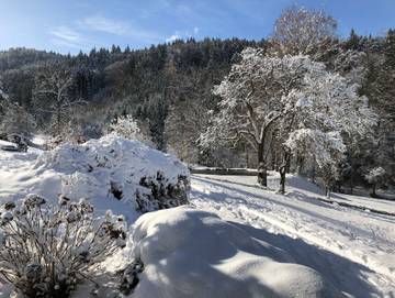 Bauernhof für 3 Personen in Waldkirch, Hochschwarzwald, Bild 1