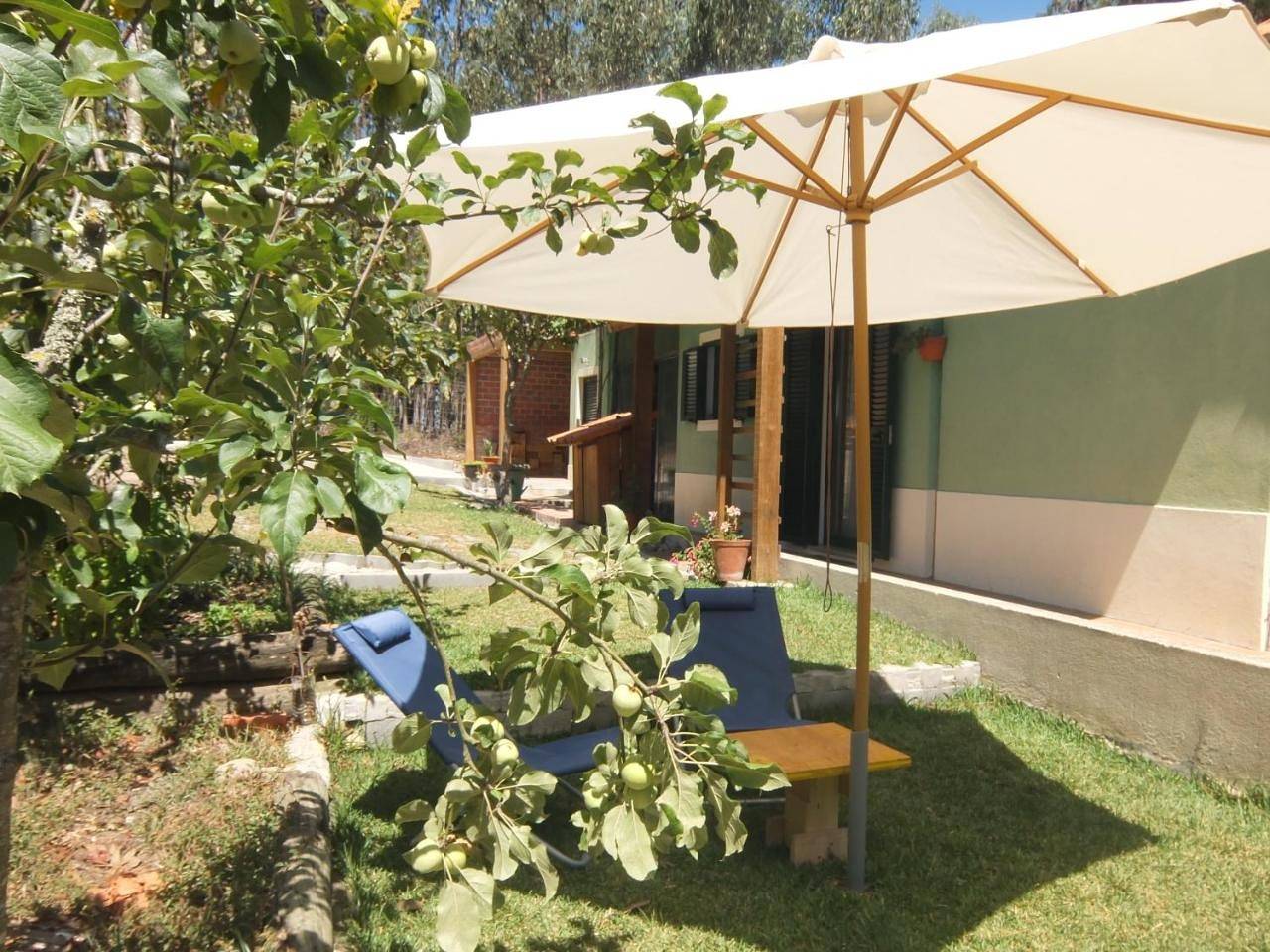 One-Bedroom House in Nadadouro, Leiria District