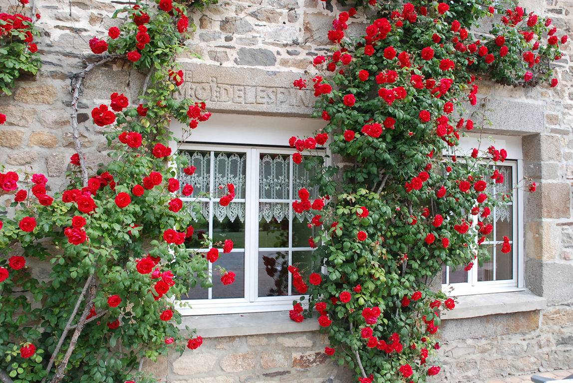 Ti Ar Rozenn in Mont-Dol, Région de Saint-Malo