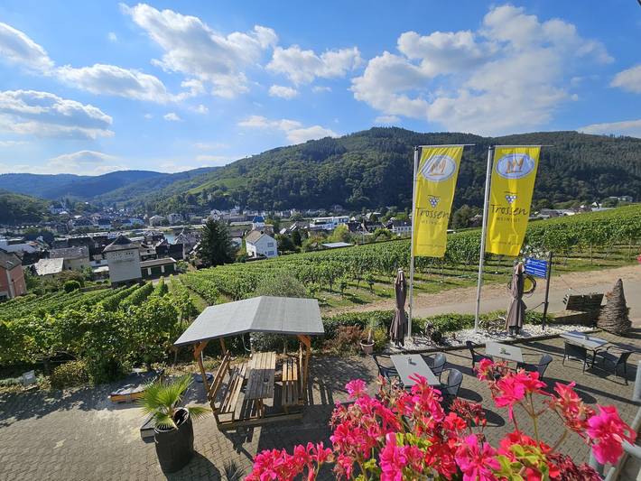 Ferienwohnung für 2 Personen, mit Balkon und Terrasse sowie Ausblick in Traben-Trarbach - 2