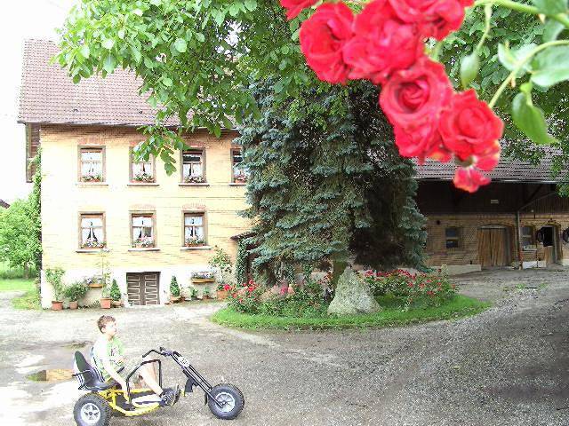 Apartamento vacacional entero, In der alten Hopfendarre in Tettnang, Region Bodensee-Oberschwaben