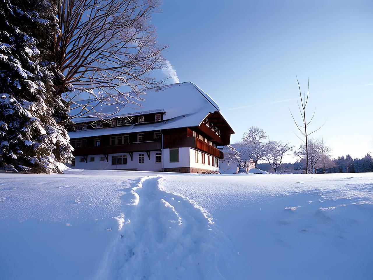 Ganze Ferienwohnung, Ferienhaus Völkle in Suedlicher Schwarzwald, Hinterzarten