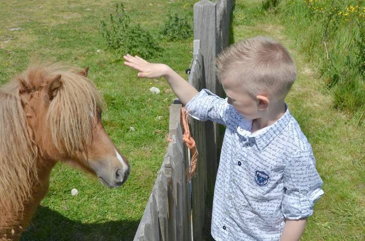 Location de vacances pour 6 personnes, avec jardin et vue dans Leffinge - 3