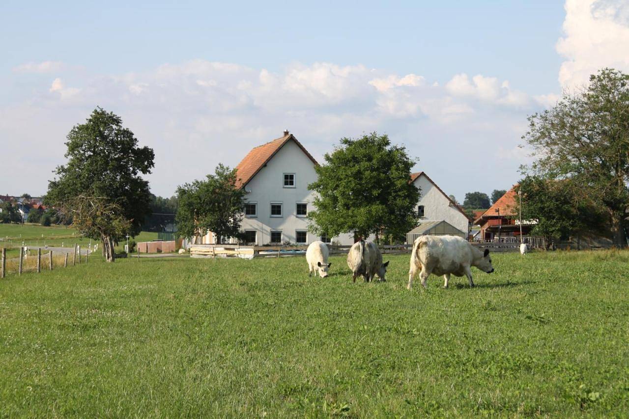 Ganze Wohnung, Traubshof in Ochsenhausen, Landkreis Biberach