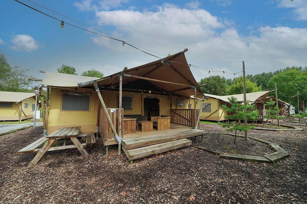Glamping tent with 3 bedrooms and a terrace in Nordholland