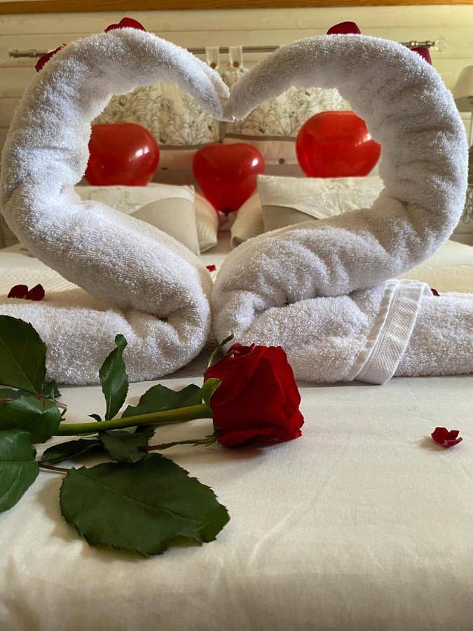 Gîte pour 2 personnes, avec jardin et piscine, animaux acceptés à Lunel-Viel - 2