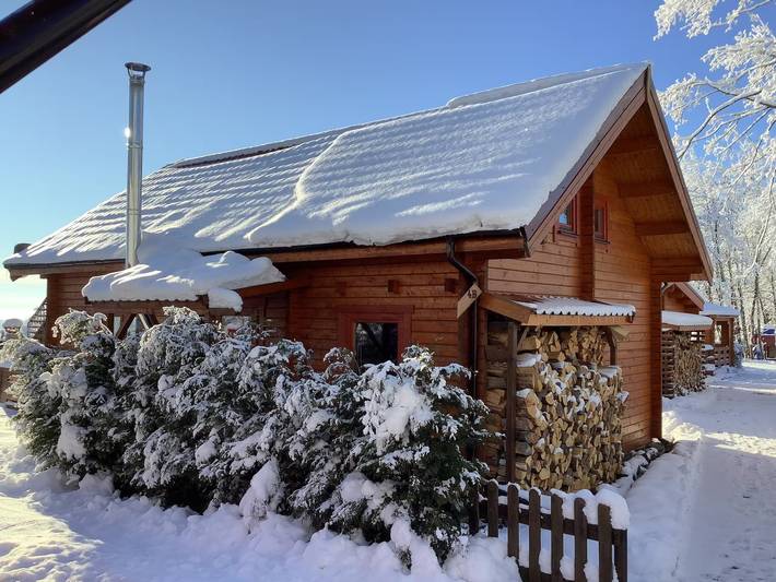 Casa vacanze 'Base-Butze Hohegeiß Blockhütte Harz' con Wi-Fi e aria condizionata in Hohegeiss, Harzvorland
