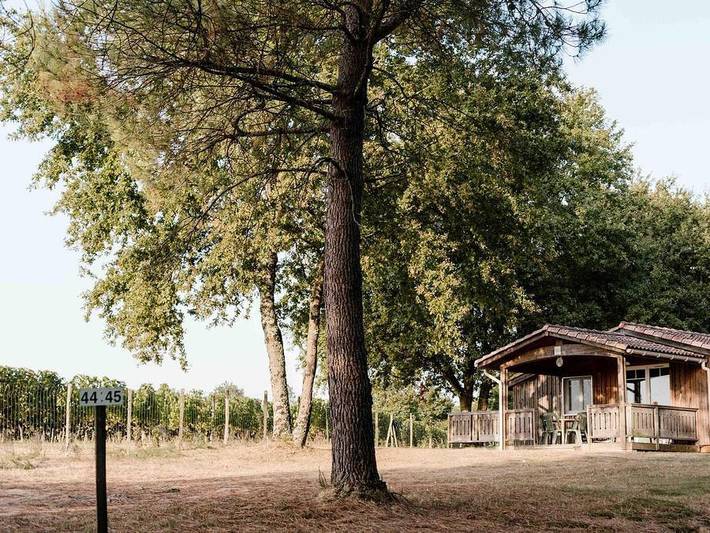 Gîte pour 5 personnes, avec bassin pour enfant à Saint-Palais (Gironde) - 2