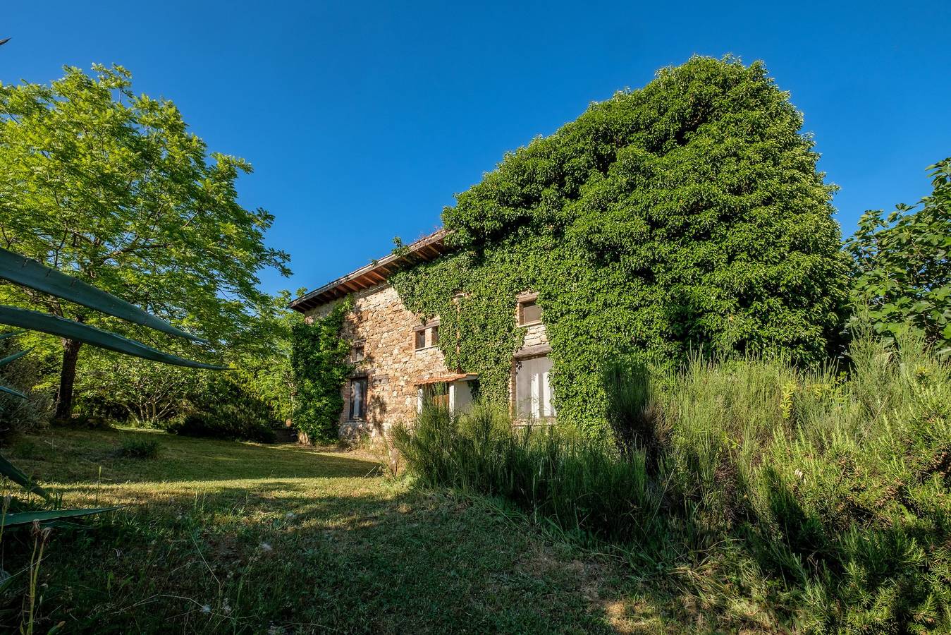 Agriturismo Stella Nord Podere Carbone con giardino, terrazza e Wi-Fi in Scansano, Provincia di Grosseto