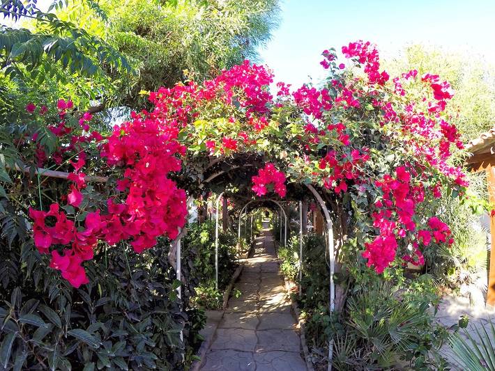 Casa vacanza per 4 persone, con vista oceano, con animali domestici - 1
