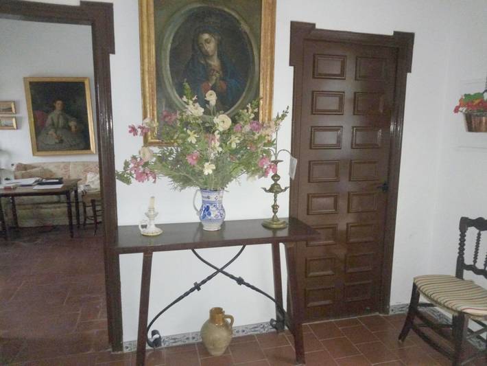 Maison d’hôte pour 3 personnes, avec jardin, animaux acceptés à Chipiona - 4