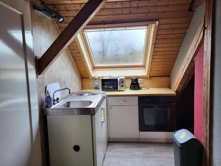 Appartement entier, Two-Bedroom Apartment in Rheinau, Forêt-Noire centrale
