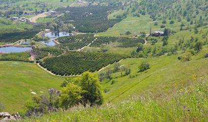 Agriturismo für 10 Personen in Sequoia National Park, Kalifornien, Bild 4