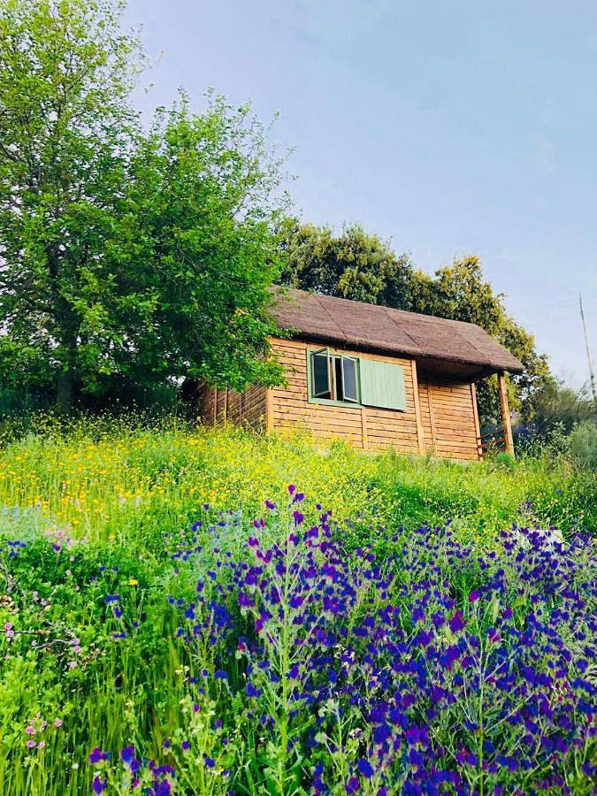 Hamlet's Friends in Nuño Gómez, Provincia de Toledo