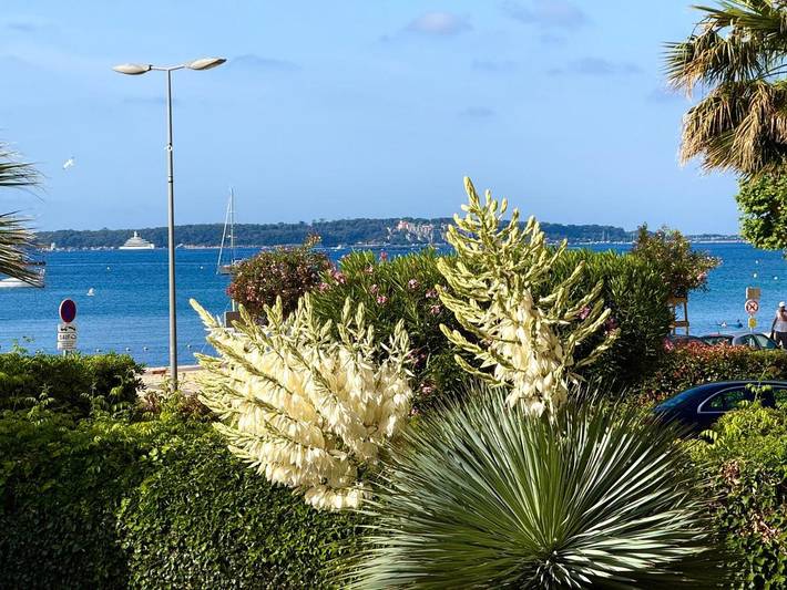 Gîte pour 4 personnes, avec Balcon ainsi que Terrasse et Vue dans Office De Tourisme De Golf Juan - 2
