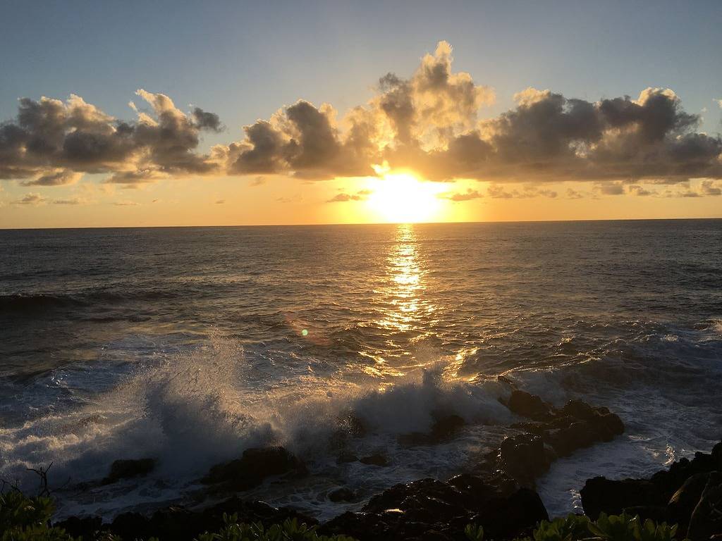 Bungalow for 2 Guests in Hawaiian Beaches, Island of Hawaii