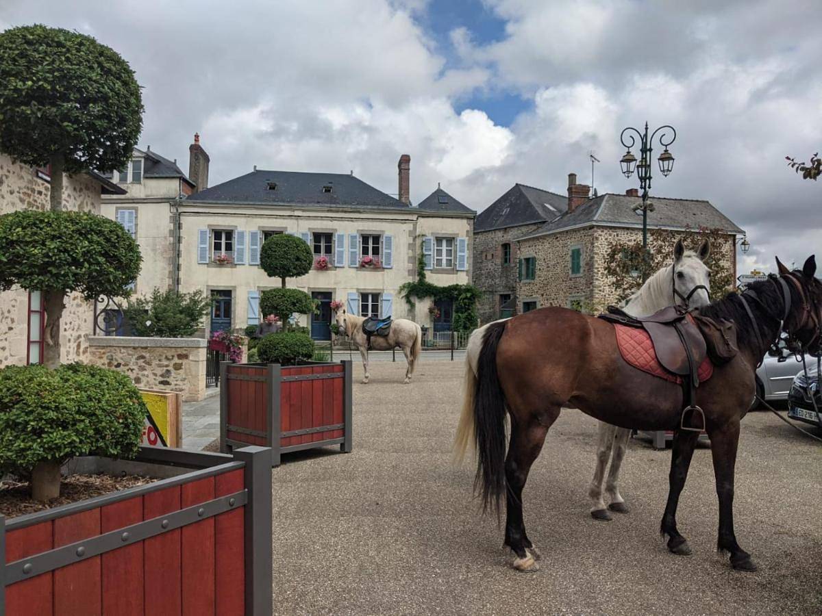 Large Double Room in Chailland, Mayenne