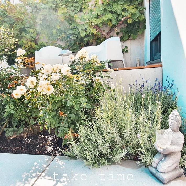 Ferienwohnung für 2 Personen, mit Ausblick und Garten in Eltville am Rhein - 2