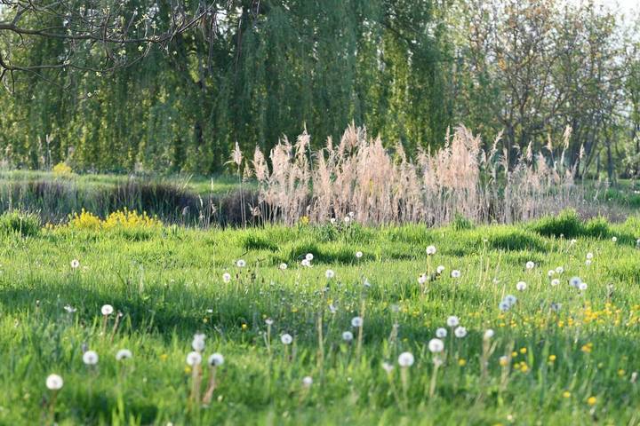 Chambre d’hôte pour 2 personnes, avec jardin et piscine à Saint-Nizier-le-Désert