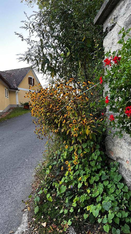 Ferienwohnung für 3 Personen, mit Garten und Ausblick in der Oststeiermark - 4