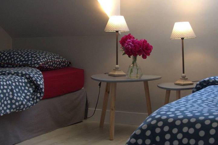 Gîte pour 10 personnes, avec terrasse et jardin à Cravant-les-Côteaux - 3