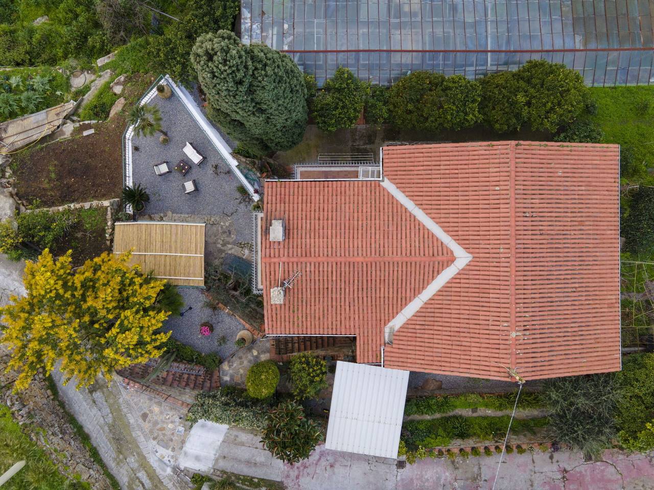 Riana - Riana 677.1 in Bordighera, Riviera di Ponente