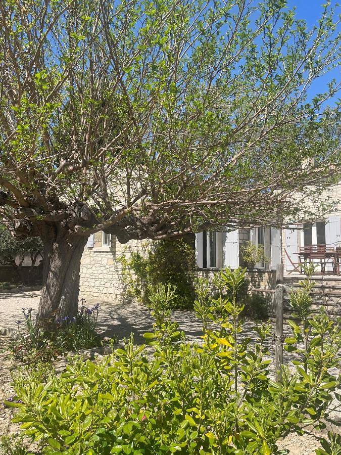 Chambre d’hôte pour 2 personnes, avec jardin et terrasse à Paradou