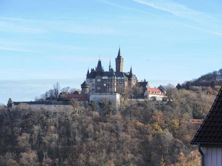 Hotel für 3 Personen, mit Garten und Pool sowie Sauna und Ausblick in Wernigerode - 3