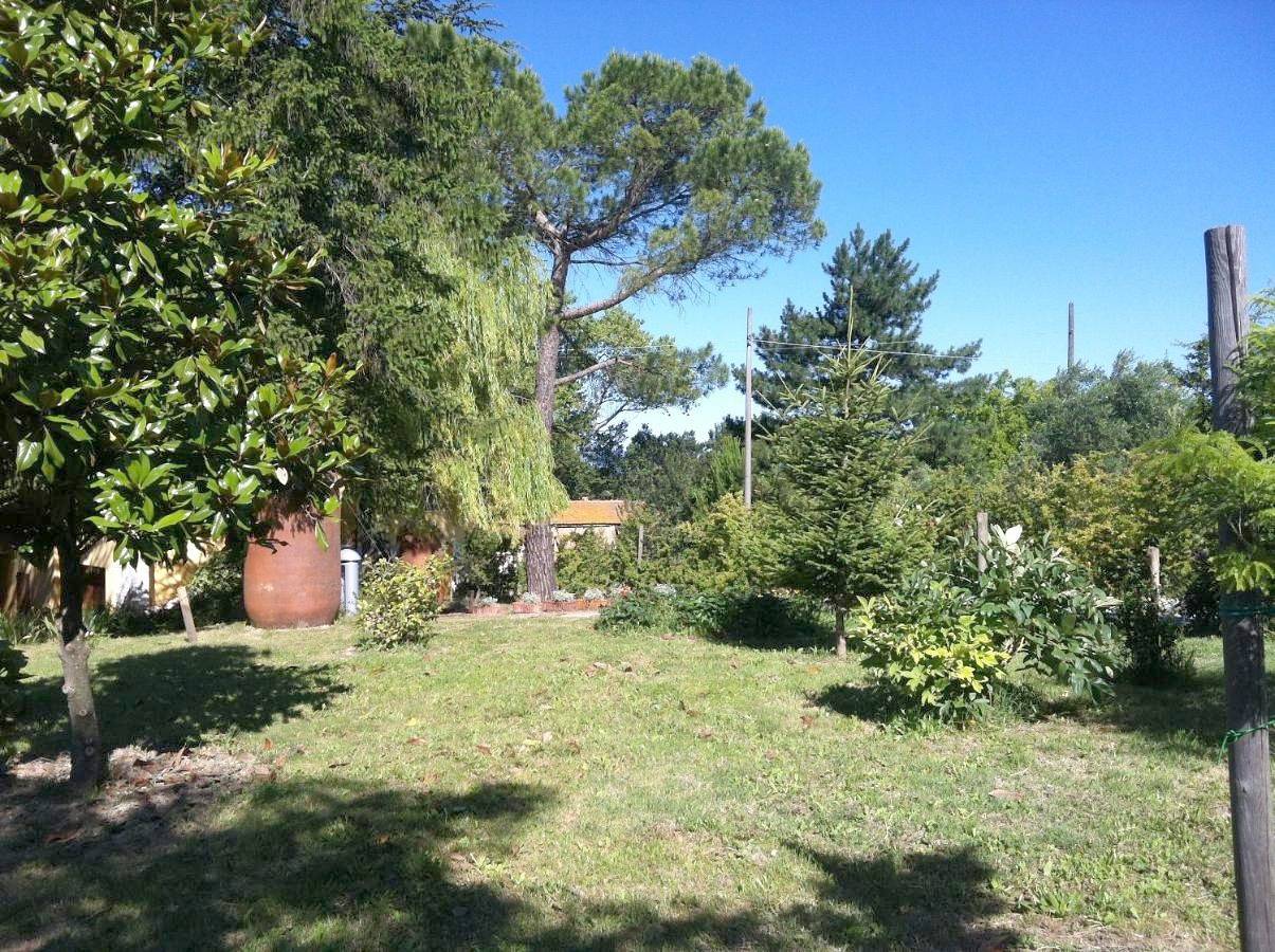 Villa Nunzia in Cupramontana, Provincia di Ancona