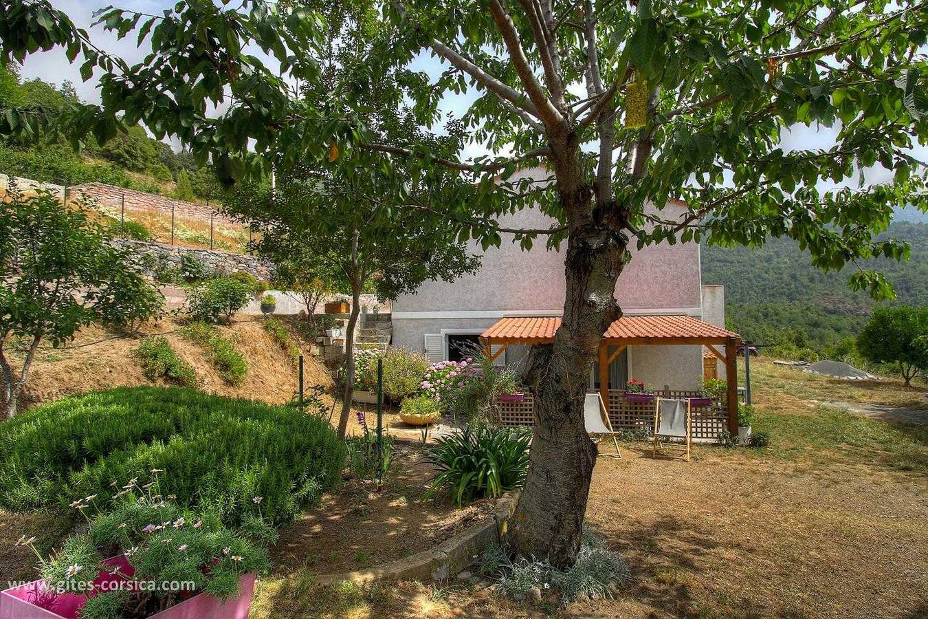 Aghja u moru in Bisinchi, Corte region