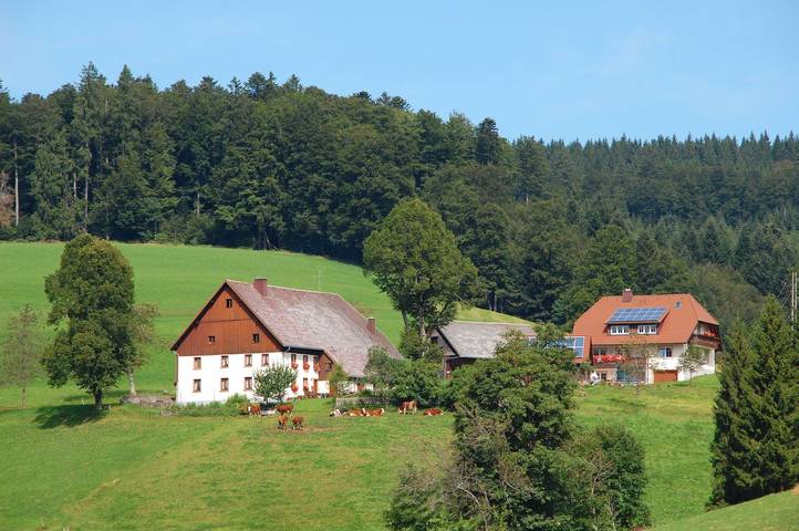 Ganze Wohnung, Ferienwohnung 'Schwalbennest' mit Privatterrasse, Gemeinschaftsgarten und Wi-Fi in St. Peter, Südschwarzwald