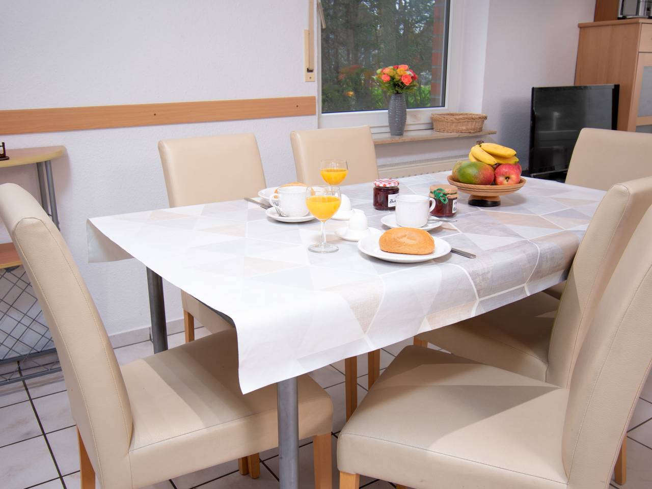 Robbe in Strand Norddeich, Norddeich