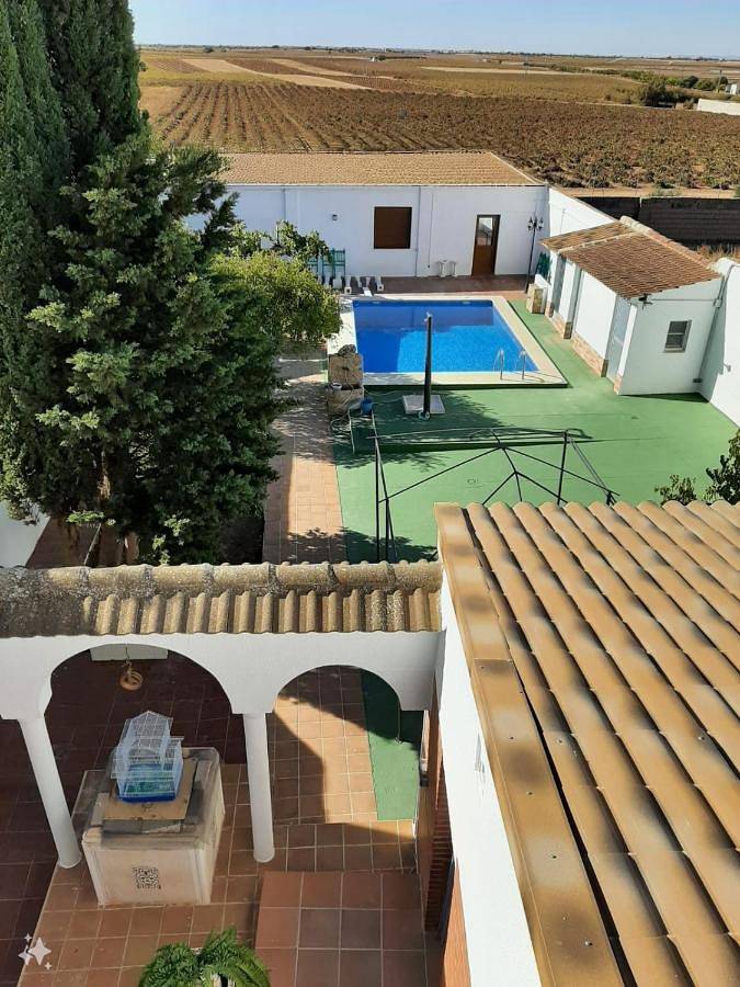 Apartamento para 20 personas, con Balcón y Terraza además de Jardín y Piscina en El Toboso