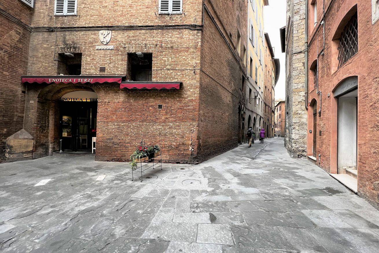 Appartamento intero, Kami - Bellissimo appartamento centrale, sopra i tetti  in Siena, Siena e dintorni
