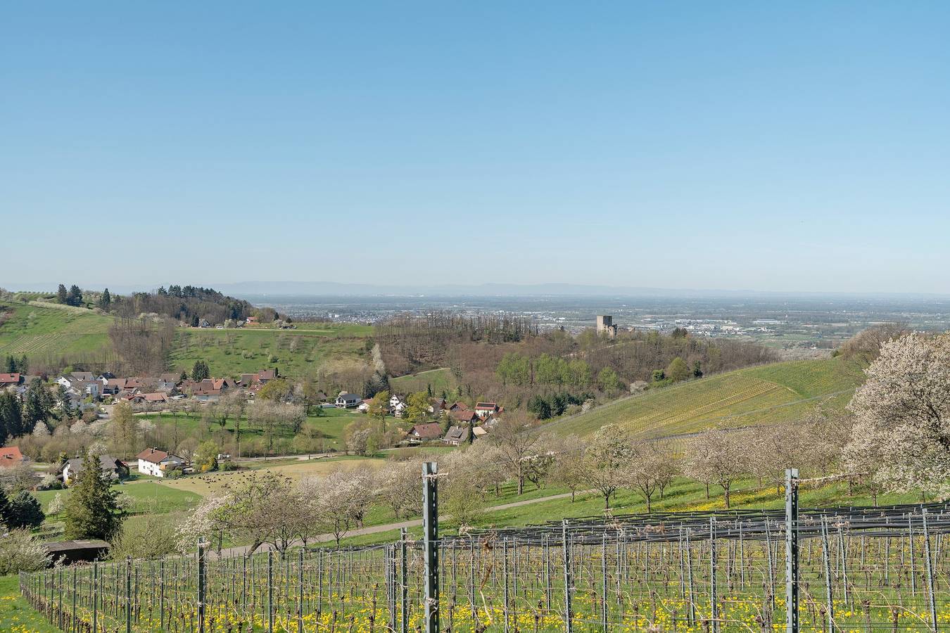 Ganze Wohnung, Ferienwohnung Gabriele" mit Bergblick, privater Terrasse und Wi-Fi in Lauf, Mittlerer Schwarzwald