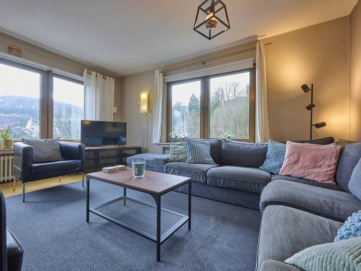 Ferienhaus für 16 Personen, mit Garten und Sauna, mit Haustier in Schmallenberg - 4